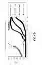 Fig. 09 - AEROSOLIZED FLUOROQUINOLONES AND USES THEREOF