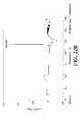 Fig. 23 - AEROSOLIZED FLUOROQUINOLONES AND USES THEREOF