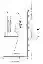 Fig. 42 - AEROSOLIZED FLUOROQUINOLONES AND USES THEREOF
