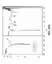 Fig. 45 - AEROSOLIZED FLUOROQUINOLONES AND USES THEREOF