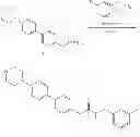 Fig. 04 - Composition and methods for modulating a kinase cascade
