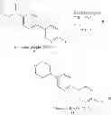 Fig. 31 - Composition and methods for modulating a kinase cascade