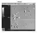 Fig. 16 - IMMEDIATE RELEASE PHARMACEUTICAL FORMULATION OF 4-[3-(4-CYCLOPROPANECARBONYL-PIPERAZINE-1-CARBONYL)-4-FLUORO-BENZYL]-2H-PHTHALAZIN-1-ONE