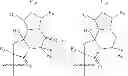 Fig. 06 - Fluoroergoline analogs