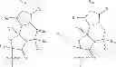 Fig. 16 - Fluoroergoline analogs