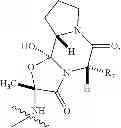 Fig. 24 - Fluoroergoline analogs