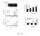 Fig. 02 - Methods of diagnosing and treating cancer