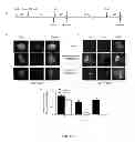 Fig. 05 - Methods of diagnosing and treating cancer