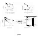 Fig. 06 - Methods of diagnosing and treating cancer