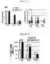 Fig. 03 - Methods of preventing the development of mucositis and related disorders