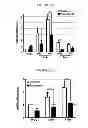 Fig. 04 - Methods of preventing the development of mucositis and related disorders