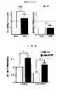 Fig. 08 - Methods of preventing the development of mucositis and related disorders