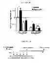 Fig. 09 - Methods of preventing the development of mucositis and related disorders