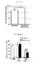 Fig. 10 - Methods of preventing the development of mucositis and related disorders