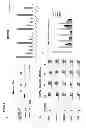 Fig. 03 - Methods and materials for assessing responsiveness to lenalidomide, thalidomide, and/or other thalidomide analogs