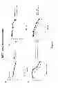 Fig. 05 - Methods and materials for assessing responsiveness to lenalidomide, thalidomide, and/or other thalidomide analogs