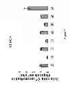 Fig. 08 - Methods and materials for assessing responsiveness to lenalidomide, thalidomide, and/or other thalidomide analogs