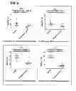 Fig. 06 - Method of activating regulatory T cells with alpha-2B adrenergic receptor agonists
