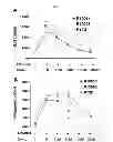 Fig. 02 - REL INHIBITORS AND METHODS OF USE THEREOF