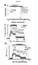 Fig. 06 - REL INHIBITORS AND METHODS OF USE THEREOF