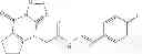 Fig. 17 - REL INHIBITORS AND METHODS OF USE THEREOF