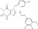 Fig. 67 - REL INHIBITORS AND METHODS OF USE THEREOF