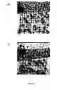Fig. 07 - Composition and Methods for Anti-Macrofouling Treatment of Polymers