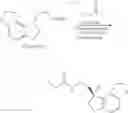 Fig. 19 - PROCESS FOR PRODUCTION OF OPTICALLY ACTIVE AMINE DERIVATIVES