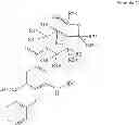Fig. 06 - ANALOGS AND PRODRUGS OF BUMETANIDE; COMPOSITIONS AND METHODS OF USE