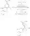 Fig. 08 - ANALOGS AND PRODRUGS OF BUMETANIDE; COMPOSITIONS AND METHODS OF USE