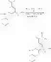 Fig. 09 - ANALOGS AND PRODRUGS OF BUMETANIDE; COMPOSITIONS AND METHODS OF USE