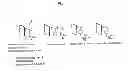 Fig. 04 - ANION EXCHANGE MEMBRANE AND PRODUCING METHOD THEREOF