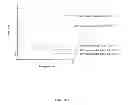 Fig. 06 - Novel Biodegradable Elastomeric Scaffold for Tissue Engineering and Light Scattering Fingerprinting Methods for Testing the Same