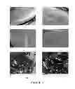 Fig. 12 - Novel Biodegradable Elastomeric Scaffold for Tissue Engineering and Light Scattering Fingerprinting Methods for Testing the Same