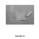 Fig. 14 - Novel Biodegradable Elastomeric Scaffold for Tissue Engineering and Light Scattering Fingerprinting Methods for Testing the Same