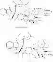 Fig. 40 - PROCESS FOR A FOLATE-TARGETED AGENT