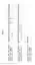 Fig. 02 - Hetero-dimeric immunoglobulins