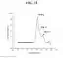 Fig. 59 - Hetero-dimeric immunoglobulins