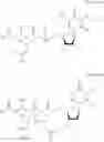 Fig. 45 - Uridine diphosphate derivatives, compositions and methods for treating neurodegenerative disorders