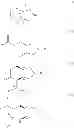 Fig. 02 - Asymmetric synthesis method, related raw material and preparation method of (S,S)-2,8-diazabicyclo[4,3,0]nonane