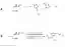 Fig. 01 - Copper-catalysed ligation of azides and acetylenes
