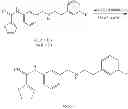 Fig. 28 - Thiophene-2-carboximidamide based selective neuronal nitric oxide inhibitors