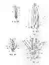 Fig. 06 - METHODS AND DEVICES FOR TISSUE GRASPING AND ASSESSMENT