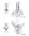 Fig. 07 - METHODS AND DEVICES FOR TISSUE GRASPING AND ASSESSMENT