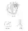 Fig. 08 - METHODS AND DEVICES FOR TISSUE GRASPING AND ASSESSMENT