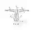 Fig. 22 - METHODS AND DEVICES FOR TISSUE GRASPING AND ASSESSMENT