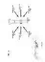 Fig. 02 - Treating spinal cord injuries via laser therapy