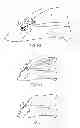 Fig. 09 - EXPANDABLE FLUID DRAINAGE IMPLANTS AND ASSOCIATED DELIVERY DEVICES AND METHODS