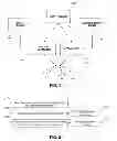 Fig. 02 - SYSTEMS AND METHODS FOR CORNEAL CROSS-LINKING WITH PULSED LIGHT