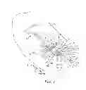 Fig. 02 - MEDICAL ARTICLE SECUREMENT SYSTEMS COMPRISING INDICIA AND METHODS OF USING SAME